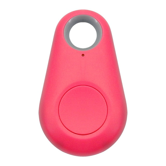 Pet Smart GPS Tracker