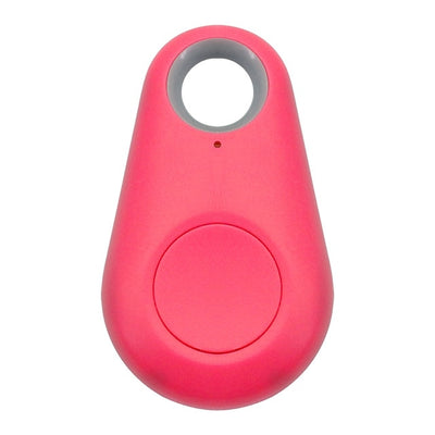 Pet Smart GPS Tracker