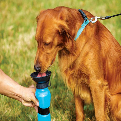 Dog Water Feeder